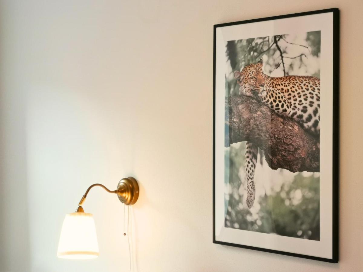 Fynbos Apartments Deluxe, Balkon, Historisch, Parkplatz ไมเซน ภายนอก รูปภาพ